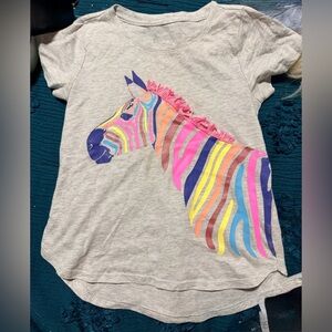 Outfit: Wonder Nation Gray Tee with Colorful Zebra Design & June bug shorts